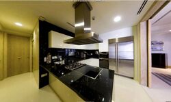The Ritz-Carlton  (D9), Condominium #558033651